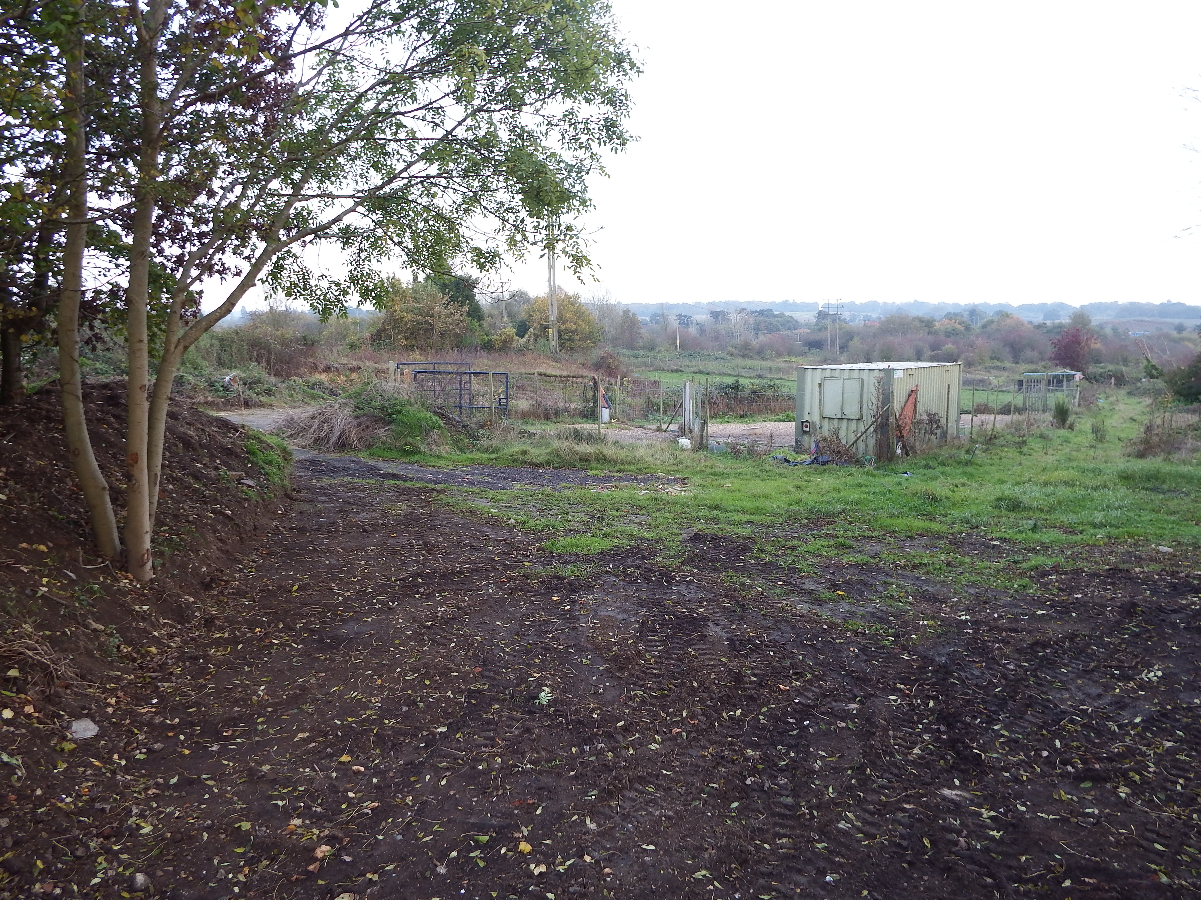 Site co-ordinates are halfway to container. Hogs Back on horizon. Bund on left and behind camera shielding quarry.