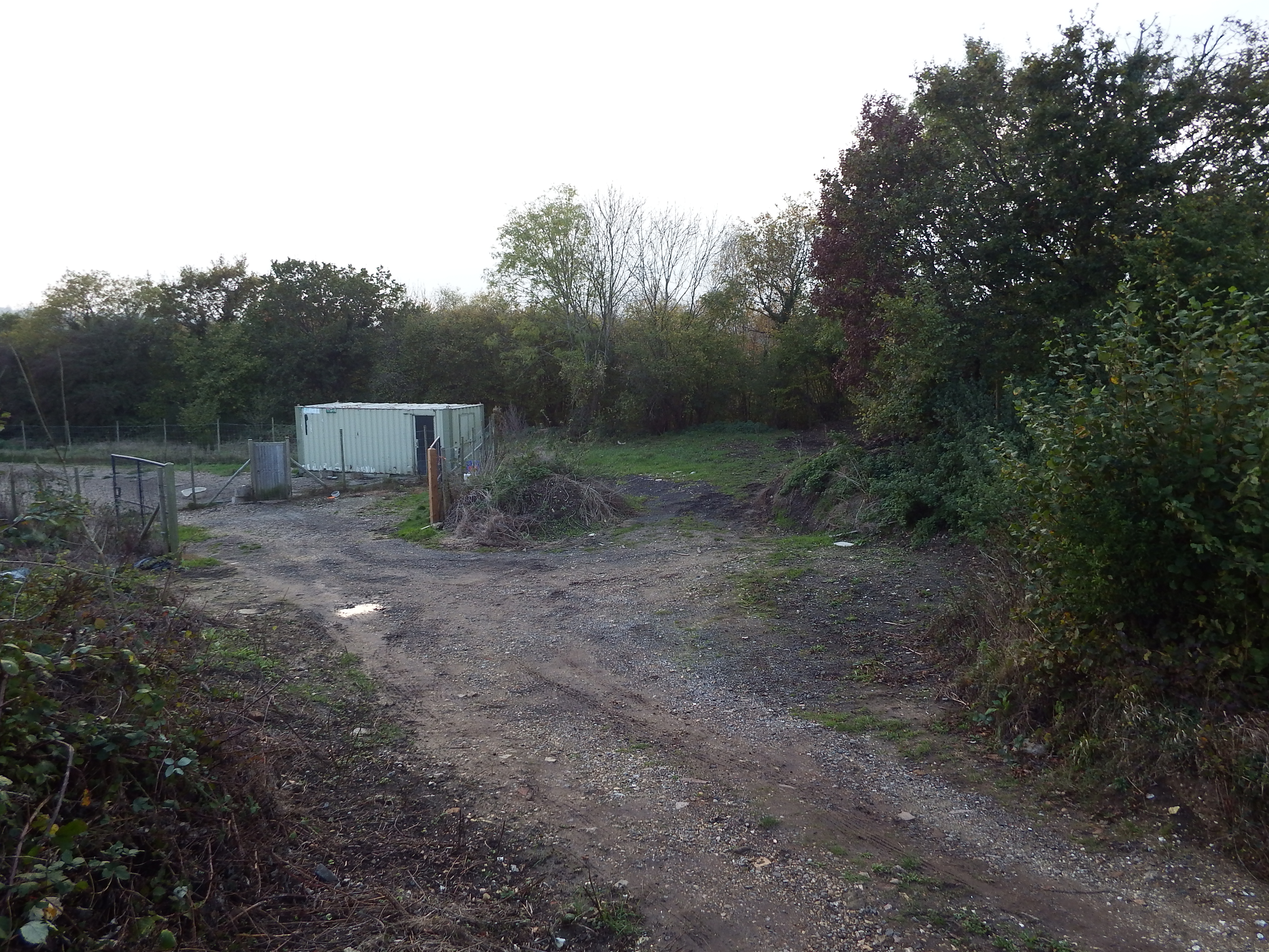 Site co-ordinates are on green patch in centre of view. Railway boundary hedge behind.