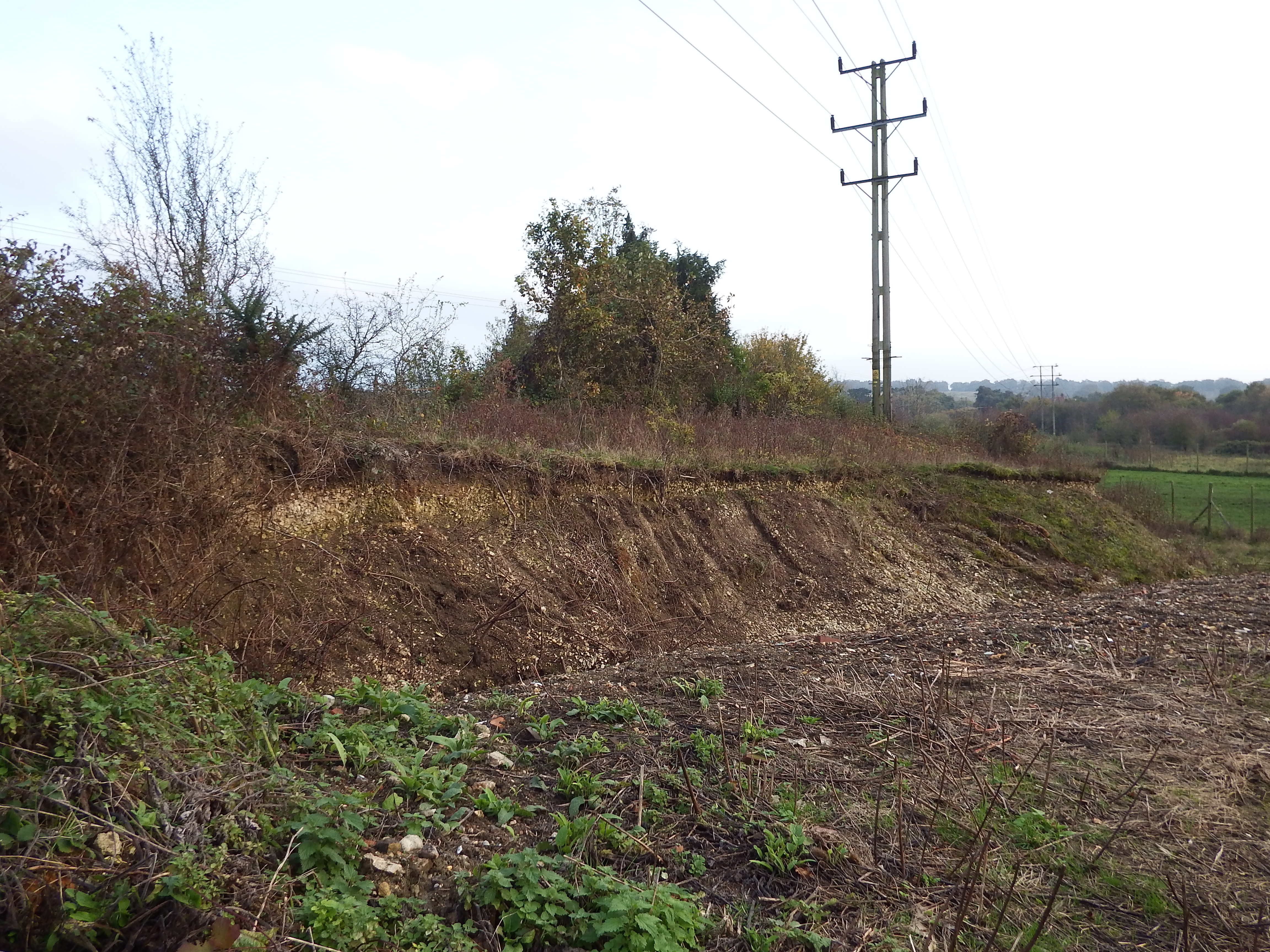 Chalk cliff showing how much the landform has been lowered.