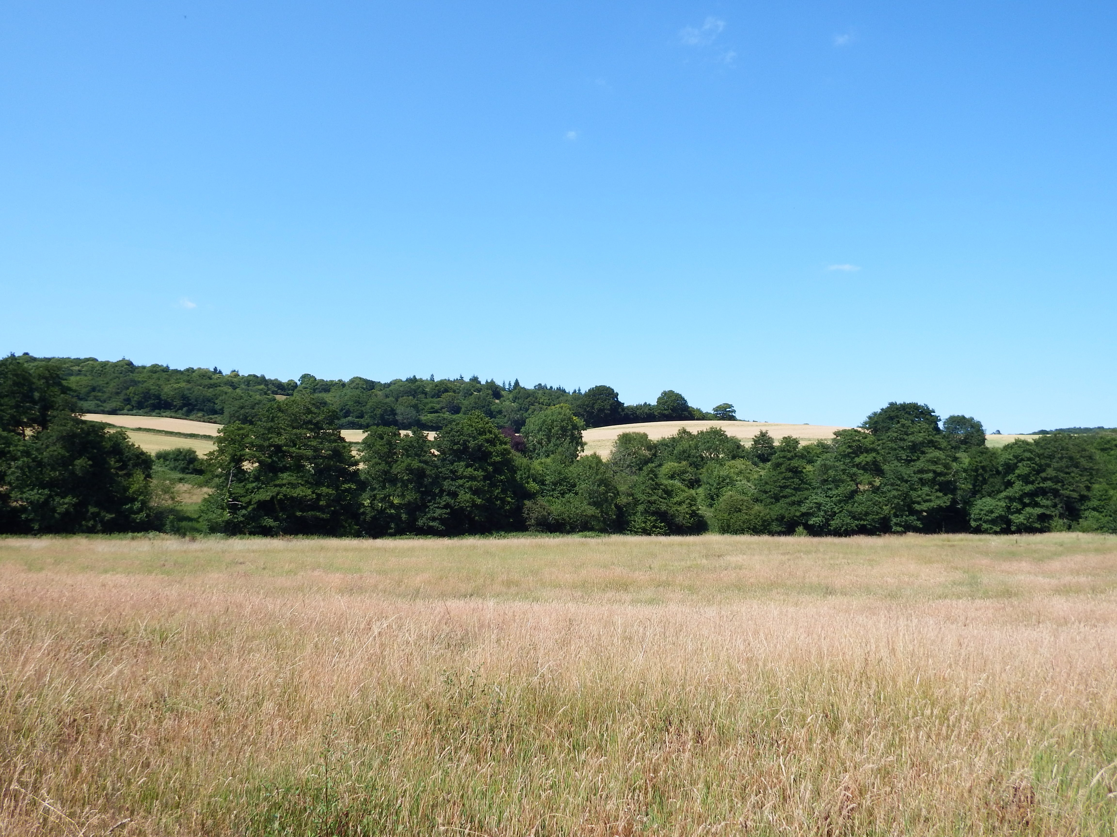 Chilworth Moat from South