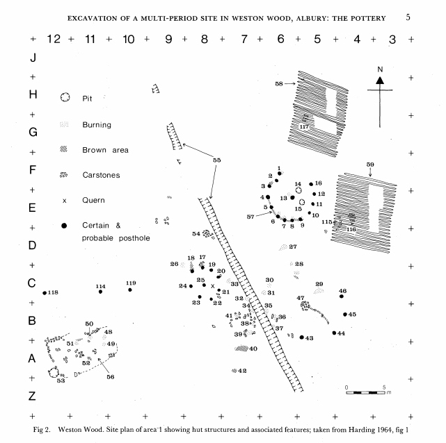 Weston Wood Excavation 1964